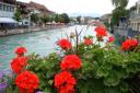 dsc01043.jpg