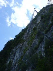 DSC00506